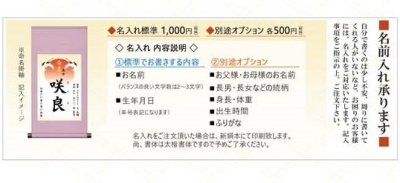 画像1: 命名掛け軸　吉祥旭日飛翔　命名飾り　名前入掛け軸　送料無料！