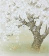 画像1: 高級織物襖紙 あかつき 4枚1組 ふすま張り替え 糸入りふすま紙 DIY リメイク 全国送料無料 巾 1ｍ×丈 2ｍ3ｃｍ 大きな桜の木 (1)