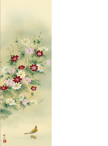 画像: 掛軸　秋桜（コスモス）尺三サイズ（幅44.5×高さ164センチ）送料無料